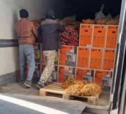 WhatsApp Image 2026-03-17 at 14.45.24